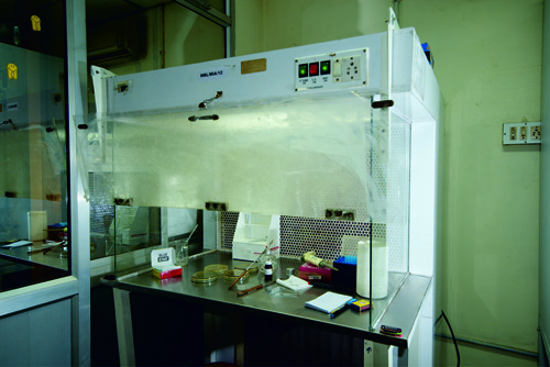 Biotech